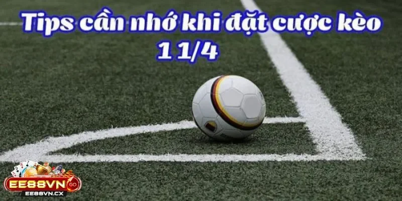 Kèo Chấp 1 1/4 Là Gì - Góc Nhìn Mới Về Một Tỷ Lệ Cân Não Kèo Chấp 1 1/4